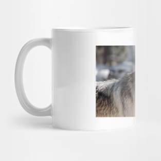 Wolf Mug